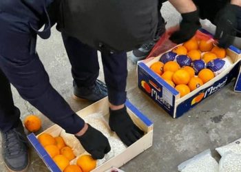 مخبأة بالبرتقال.. السعودية تحبط تهريب 4.5 مليون حبة “كبتاغون”