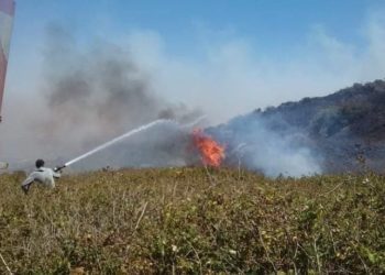 حريقان يتسببان بأضرار بأكثر من 1700 شجرة مثمرة في محافظة حمص