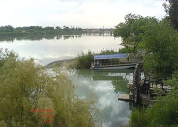 حريقان يتسببان بأضرار بأكثر من 1700 شجرة مثمرة في محافظة حمص