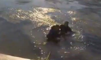 نشاط جديد لعمليات الخطف في ريف دمشق