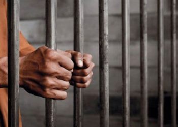 تقرير يحصي عدد المعتقلين الفلسطينيين من مخيم “النيرب” 