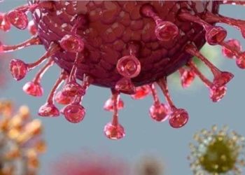 “الصحة العالمية” ترجح ارتفاع أعداد الإصابات بكورونا حول العالم