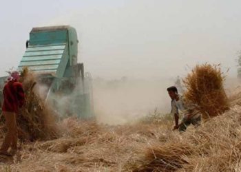 فلاحون يشتكون من عدم صرف المصارف الزراعية في مناطق النظام لقيم القمح