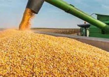 حكومة النظام ترفع أسعار المواد العلفية في مناطق سيطرتها