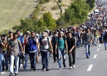 ألمانيا بصدارة دول الاتحاد الأوروبي باستقبال طلبات اللجوء