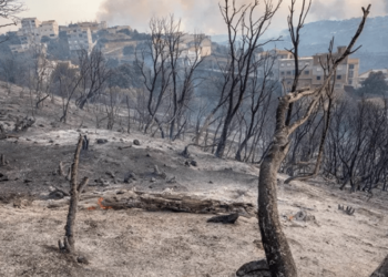 مجلة أمريكية تحذر: الشرق الأوسط سيصبح غير صالح لحياة البشر