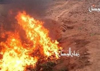 صحيفة محلية تكشف تفاصيل “محرقة” للمعتقلين في سجون النظام