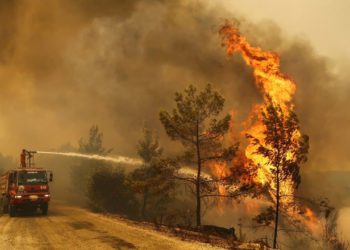 أردوغان ومسؤولون أتراك يوضحون تطورات أزمة الحرائق في تركيا