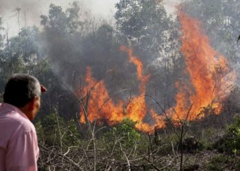 حرائق تلتهم مساحات واسعة من الغابات في ريف حماة وتقترب من منازل المدنيين