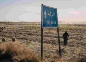 مقتل رعاة أغنام بهجوم مسلح بريف الرقة