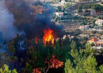 مجدداً.. حرائق تلتهم مساحات في ريفي حمص وطرطوس