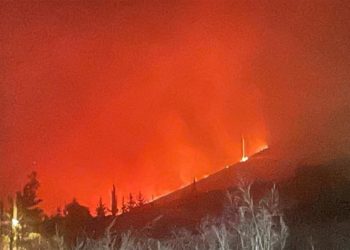 اندلاع حريق ضخم على الحدود اللبنانية – السورية (صور)