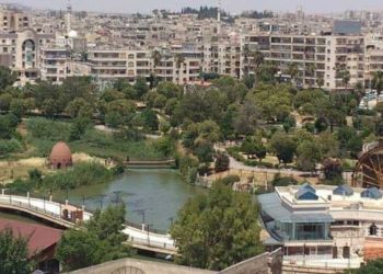 مقتل عنصرين من قوات النظام بهجوم مسلح في حماة