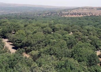 بينهم عناصر من النظام.. قتلى في القنيطرة جراء انفجار عبوة ناسفة وإطلاق نار