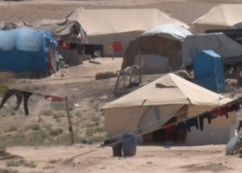 الرقة.. انتشار للأفاعي والعقارب في المخيمات العشوائية وتسجيل حالات وفاة