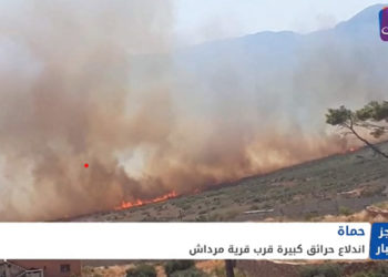 موجز أخبار الرابعة 07 08 2021