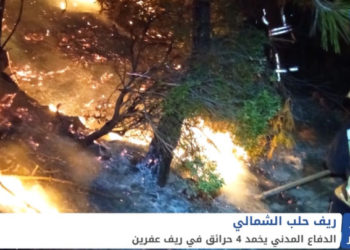 موجز أخبار السابعة 07 08 2021