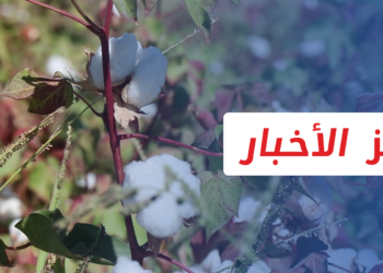 موجز أخبار السابعة 23 08 2021