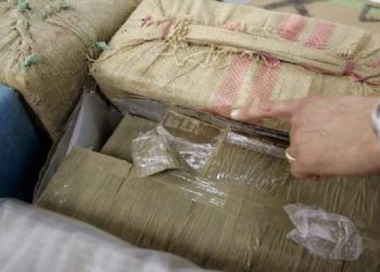 الأردن.. إحباط محاولة تهريب مواد مخدرة قادمة من سوريا