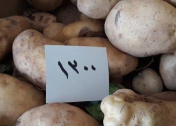 خارجية النظام تعلق على الغارات الإسرائيلية وتوجه رسالة إلى مجلس الأمن