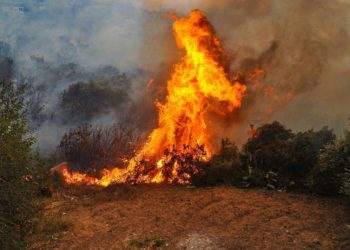 مسؤولون في حكومة النظام يبررون رفع أجور الانترنت ويدّعون مراعاة أصحاب الدخل المحدود