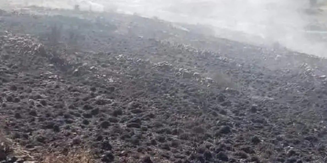 وفاة رئيس جمعية فلاحية في طرطوس بعد إشعاله النار في أرضه الزراعية لتنظيفها