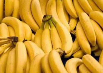 حكومة النظام توافق على استيراد الموز اللبناني