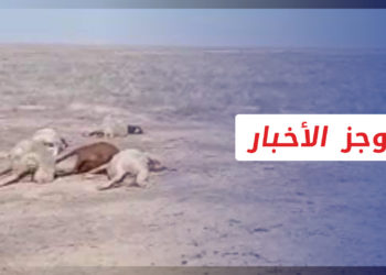 موجز أخبار السابعة 06 09 2021