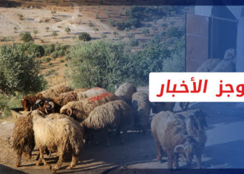 موجز أخبار الواحدة 16 09 2021