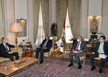 الخارجية المصرية: ندعم أي جهود تدعو إلى تسوية الأوضاع في سوريا