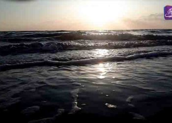 أرادو الهجرة إلى اليونان فوجدوا أنفسهم داخل فرع الأمن العسكري في طرطوس