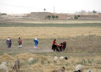 طيران مجهول الهوية يستهدف مقراً لـ”قسد” في الحسكة