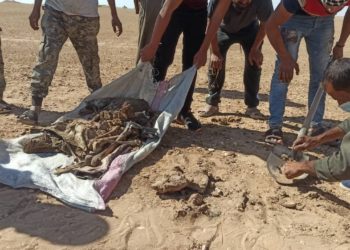 ألمانيا تتهم الرئيس البيلاروسي بقيادة شبكة تهريب مهاجرين إلى أوروبا