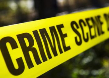 حكومة النظام تبرر ارتفاع نسبة جرائم القتل في مناطق سيطرتها