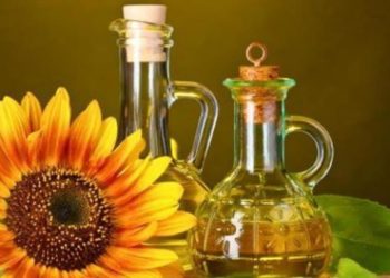 زيت دوار الشمس يتسبب بخلافات حادة بين مسؤولي النظام