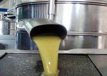 درعا.. ارتفاع سعر المازوت الصناعي تزامناً مع قطاف الزيتون يثقل كاهل المزارعين