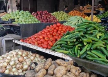 نظراً لغلاء الأسعار.. الأهالي يتوجهون إلى زراعة الخضار في حدائق منازلهم بدرعا