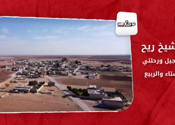 جولات – الشيخ ريح.. العجيل ورحلتي الشتاء والربيع