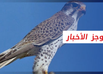 نشرة أخبار المساء 01 10 2021 وفيها: اعتداءات تطال ممتلكات لسوريين في إزمير التركية