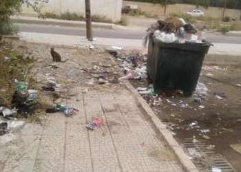 درعا.. تراكم للنفايات وسط غياب لحكومة النظام