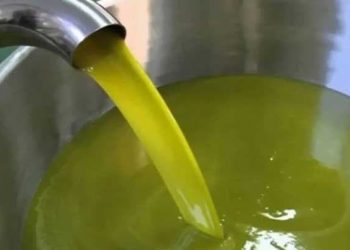 ارتفاع أسعار الزيت والزيتون في مناطق النظام