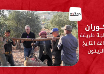جولات – كوران.. الحاجة ظريفة وعراقة التاريخ والزيتون
