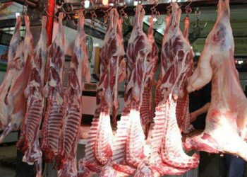 بين التهريب وغلاء الأعلاف.. اللحوم باتت حلم الأهالي في محافظة حمص