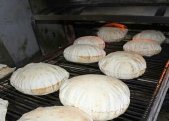 رفع سعر الخبز - الباب