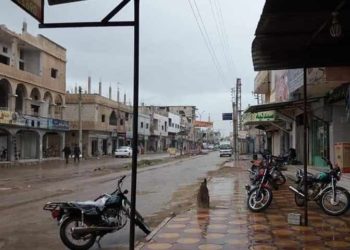 قوات النظام تستهدف بقذائف المدفعية إحدى مدن ريف درعا