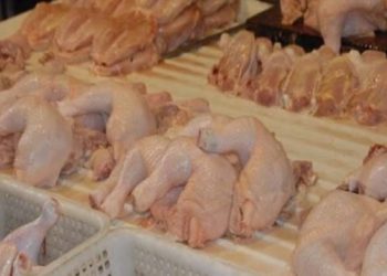 مسؤول حكومي يعلق على ارتفاع أسعار الفروج في مناطق سيطرة النظام