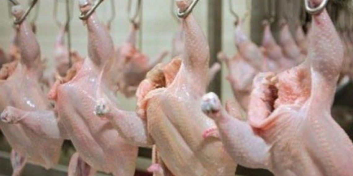 ارتفاع أسعار الدواجن ومشتقاتها في ريف دمشق