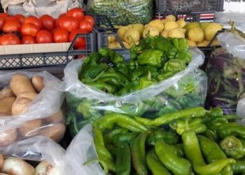 الزراعة المنزلية أحد الحلول أمام الأهالي لمواجهة الغلاء في درعا