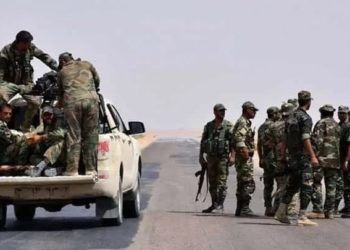 قوات النظام الرقة حماة