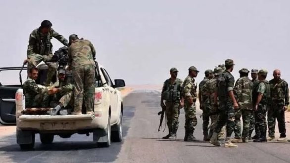 قوات النظام الرقة حماة